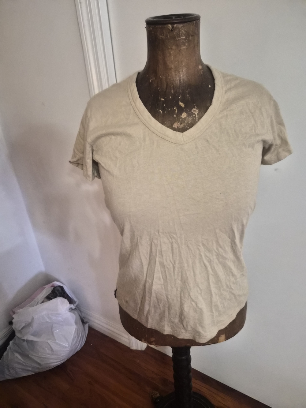 Everyday V-Neck Short Sleeve Tee in Light Beige